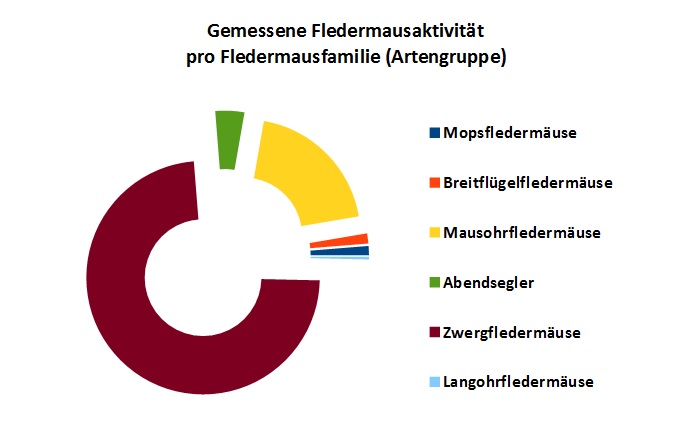 Verteilung der Fledermausaktivität pro Artengruppe