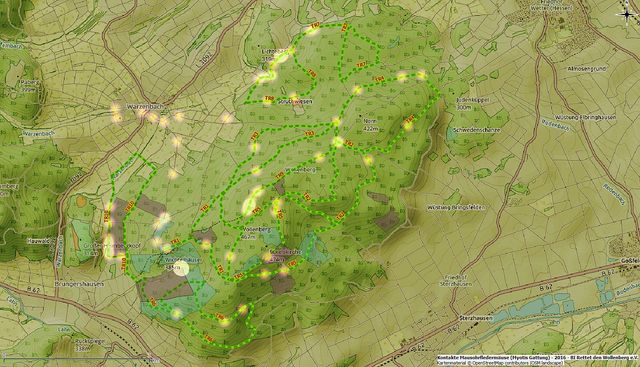 Kontakte der Gattung Myotis (Artengruppe der Mausohrfledermäuse) in 2016