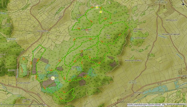 Kontakte der Gattung Plecotus (Artengruppe der Langohrfledermäuse) in 2016