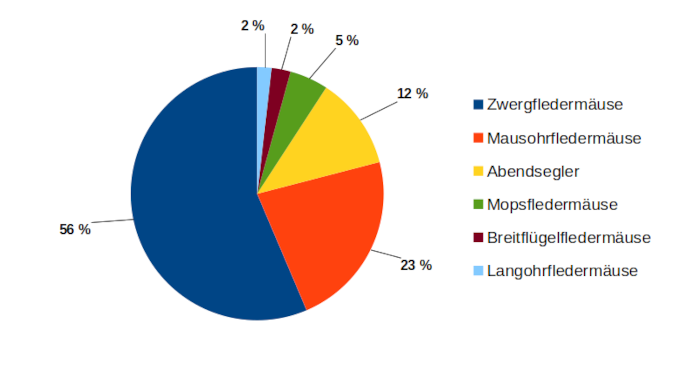Bild: In 2025 Gemessene Fledermausaktivität pro Artengruppe Verteilung der Aktivität pro Standort un pro Erfassungstyp