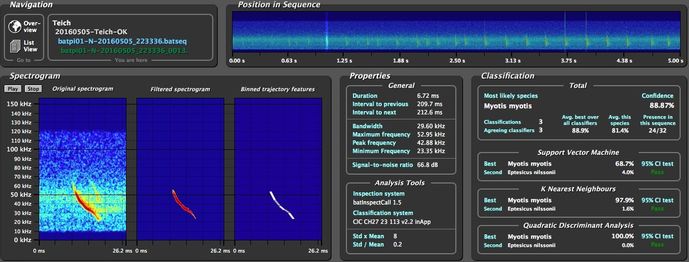 Spektrogramm eines Rufs der Mausohrfledermaus, BatScope Screenshot