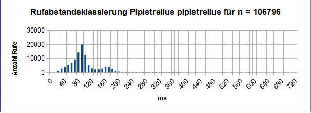 pipistrellus 8